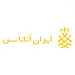 لگو ایران آناناس